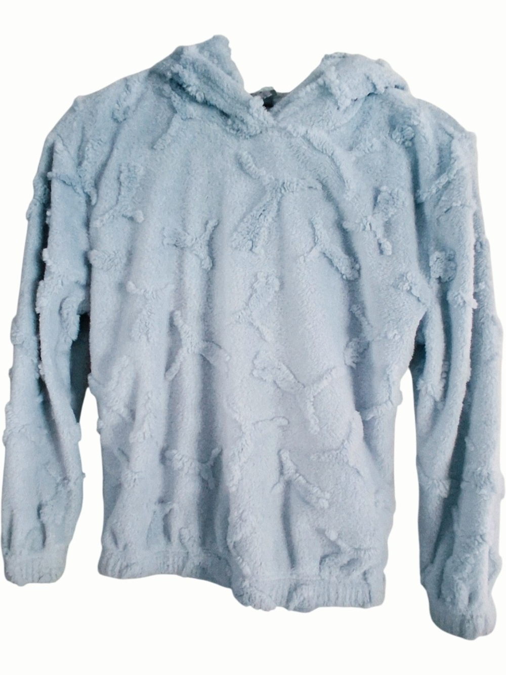 Puma Light Blue Plush Hooded Sweatshirt